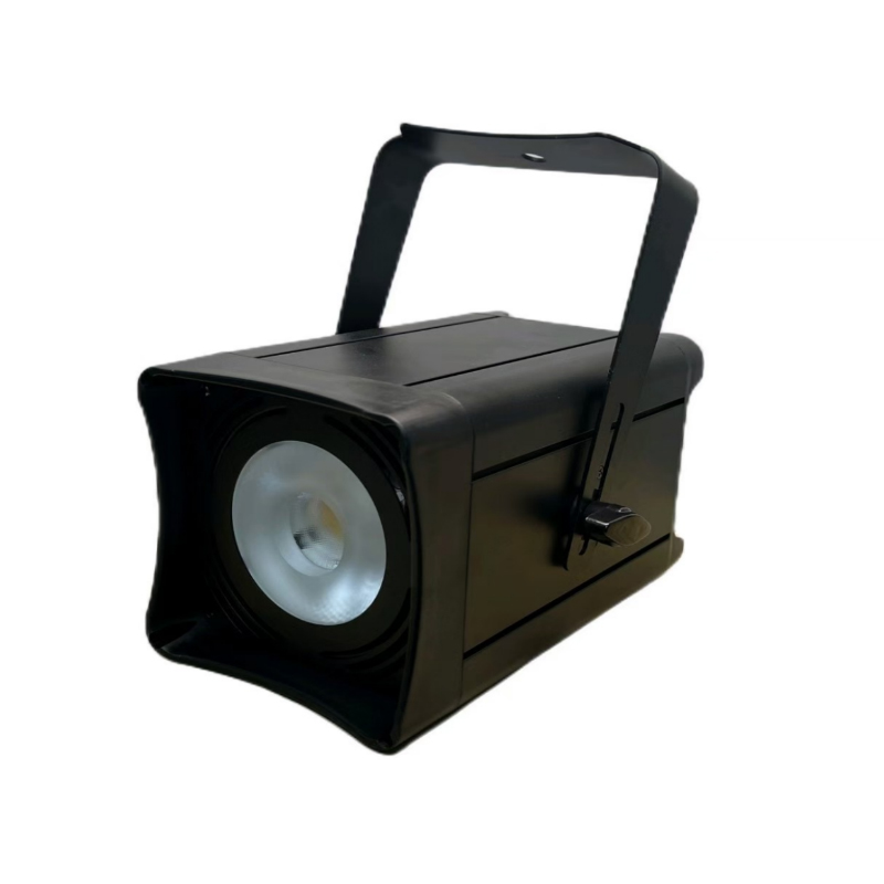 100瓦双色 婚礼环境光