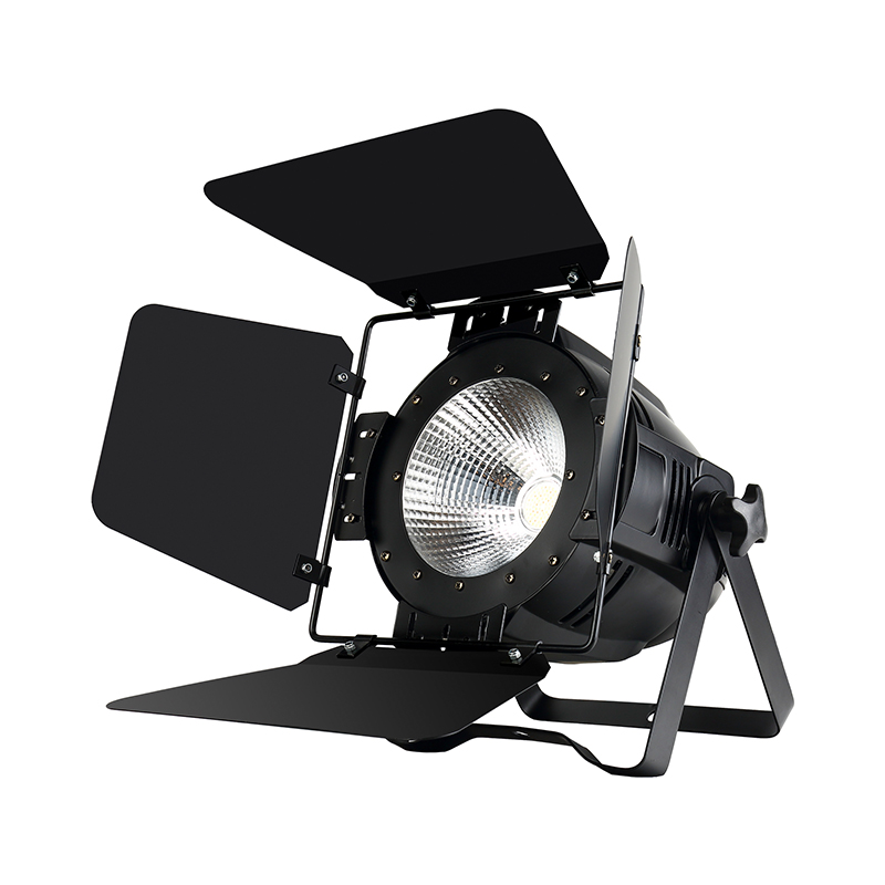 200WCOB面光灯(带叶子)